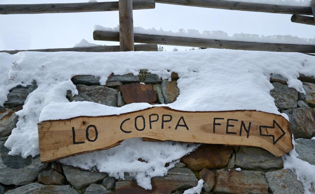 Ferienwohnung Lo Coppa Fen Aosta Exterior foto