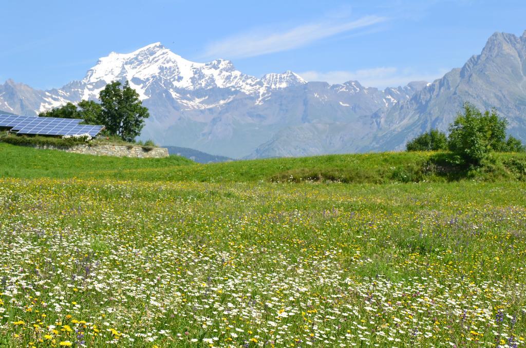 Ferienwohnung Lo Coppa Fen Aosta Exterior foto
